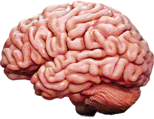 Brain background