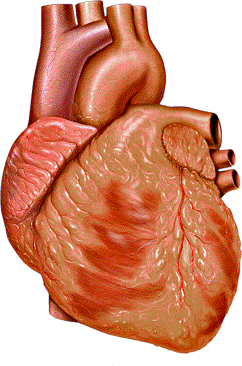 Heart overlay